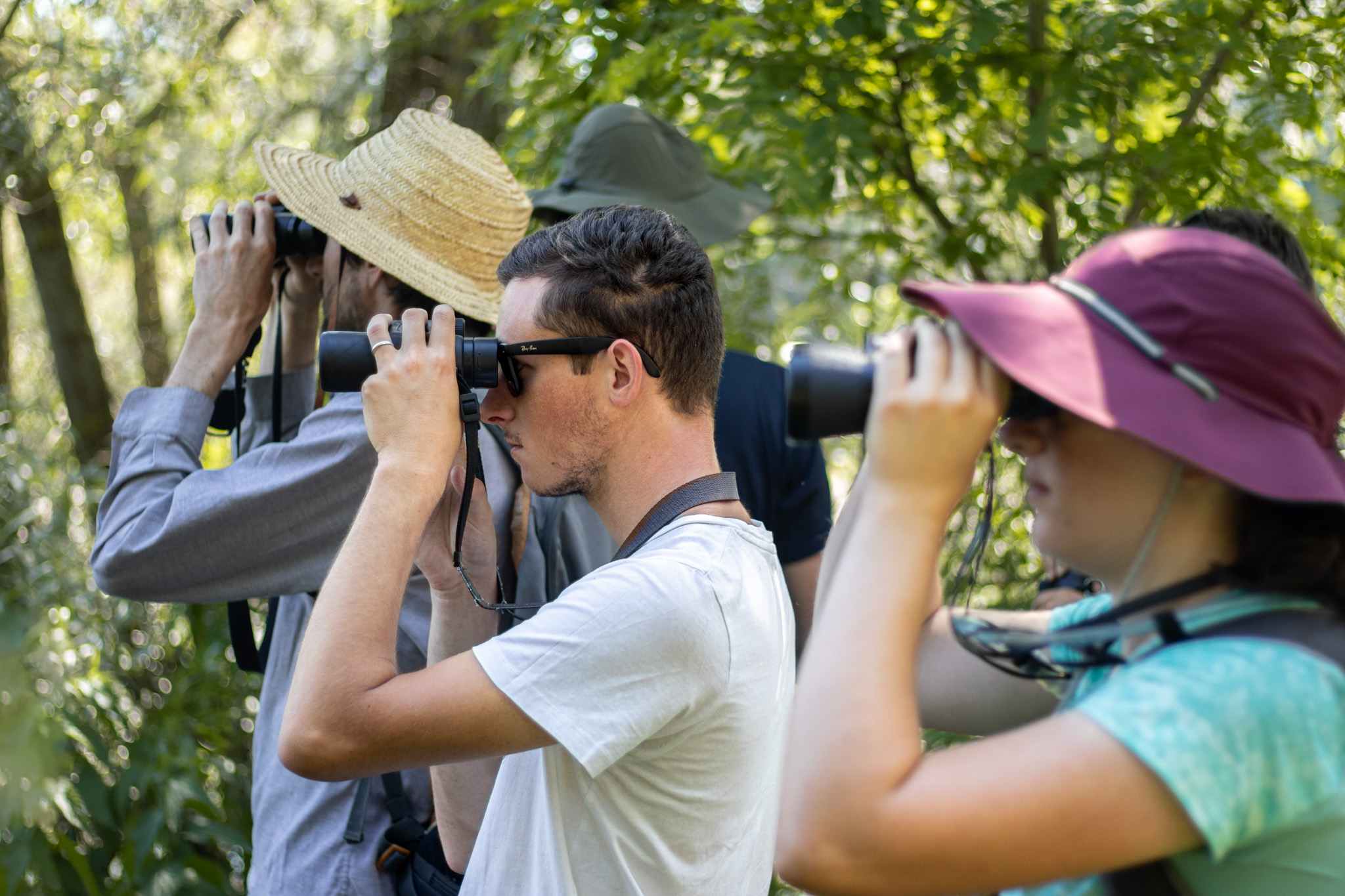 Wetlands International : comptage des oiseaux au lac de Saint-Point